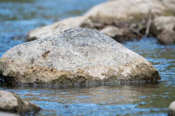 Close-up white rock in the river.Blurred background