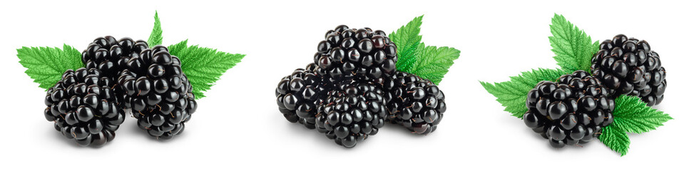 blackberry with leaf isolated on a white background closeup with full depth of field. Set or collection