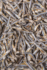 salted small dry fish, used in traditional asian cuisine, closeup, full frame view