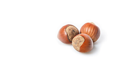Tree ripe wild hazelnuts. Stack of hazelnuts on a white background. Filbert nuts. Natural organic product. Copy space. Close-up. A place for your text. Food banner format.