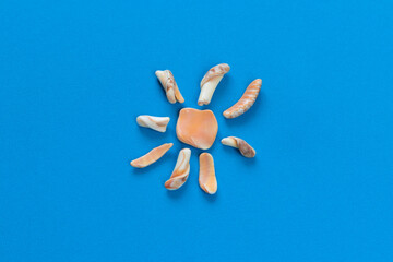 Icon, badge or symbol of the sun laid out from marine fossils or shells on a blue woven background...