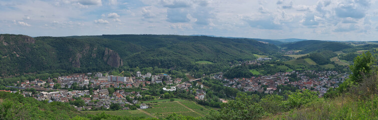 Fototapeta na wymiar Rüdesheim from above