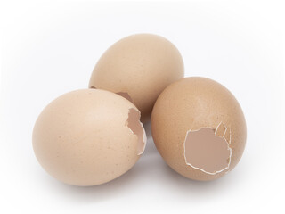Group of chicken eggshells broken on a white background.