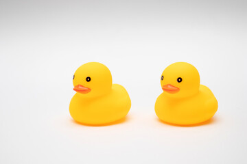 Yellow Rubber Ducks on white background