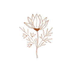 Hand drawn bouquet with magnolia flower. Vector botanical illustration.