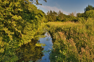 landscape with river