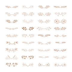 Set of botanical laurels and dividers. Hand drawn vector design.