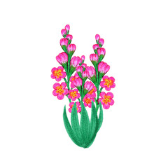 A bouquet of blooming flowers with pink buds and green leaves. Hand drawn watercolor painting. Garden plant. Illustration isolated on white background. An element for creating a floral design.