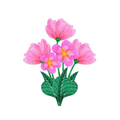 A bouquet of blooming flowers. Hand drawn watercolor painting. Field plant with pink buds and green leaves. Illustration isolated on white background. An element for creating a floral design.