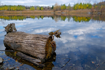 Reflection of a tree trunk in a peaceful lake in autumn