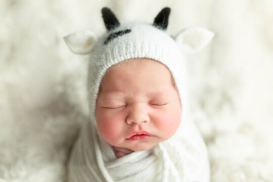 newborn girl. photo session of newborns. the baby is dressed in the image of a cow