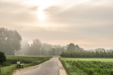 Sitzbank mit Betonweg bei Sonnenaufgang und Frühdunst