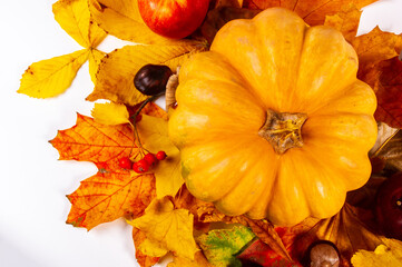 Autumn art composition - varied dried leaves, pumpkins, fruits, rowan berries on white background. Autumn, fall, halloween, thanksgiving day concept. Flat lay, top view, copy space. Autumn still life.