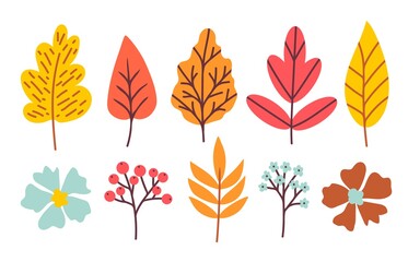 Obraz premium Set of bright autumn leaves, rowan berry flowers, twigs. Colored vector illustration for seasonal design.