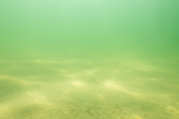 
Underwater view of the lake bottom.  Scene with copy space.