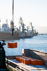 Ships in the Kola Bay (Barents Sea).