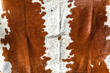 Animal Cow Fur Skin Leather Carpet Rugs Hide Closeup Fur Detail