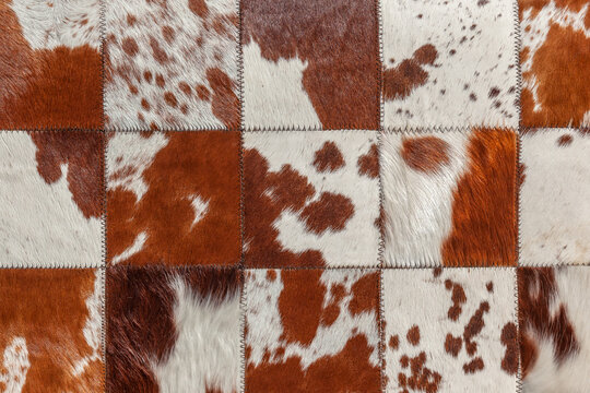 Animal  Cattle Leather Furs Skin Hides Squares Closeup Detail Of Carpet Rug Background