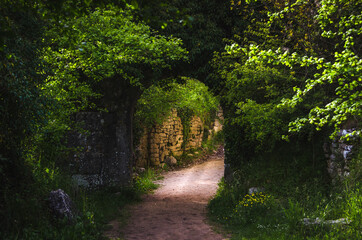 An arch from the Dvigrad castle in Istra, Croatia; foliage, light