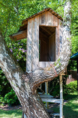Baumhaus in einer verzweigten Birke, Kleines Spielhaus in luftiger Höhe in einem Garten