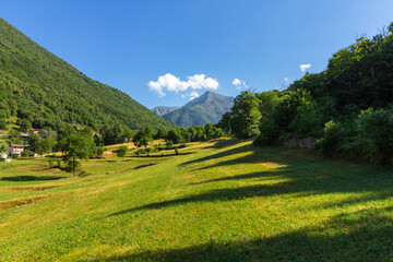 Idyllic mountain landscape with meadows in summertime