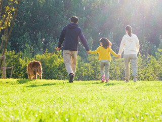 Happy family of three and pet dog walking in the park
