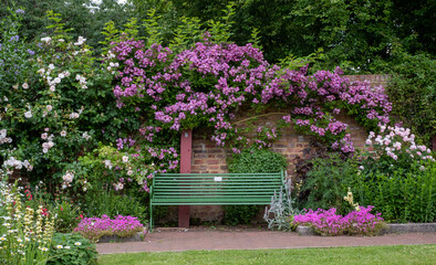 Colourful herbaceous border photographed in late June at the historic walled garden tended by...