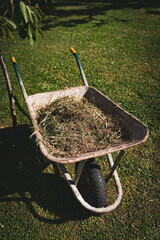 Old metal wheelbarrow standing in the garden full of cut dry grass and tree branches, metal tool for working in the garden. Spring works in the garden or backyard