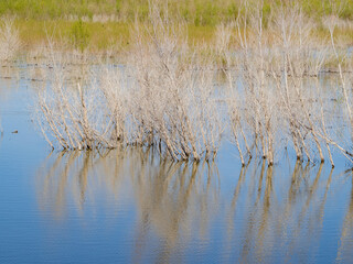 Sunny view of the Beautiful landscape around the Lake Mead National Recreation Area