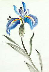 Fototapeta na wymiar bright blue iris flower