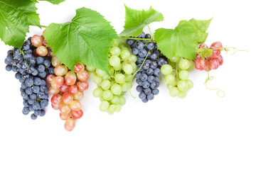 Bunch of red, purple and white grapes