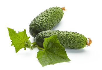 fresh cucumbers