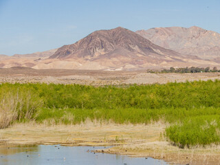 Sunny view of the Beautiful landscape around the Lake Mead National Recreation Area