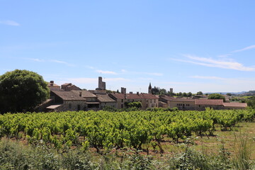 Fototapeta na wymiar Vue d'ensemble du village de Aigueze avec les vignes en premier plan, village de Aigueze, departement du Gard, France