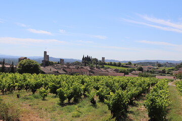 Fototapeta na wymiar Vue d'ensemble du village de Aigueze avec les vignes en premier plan, village de Aigueze, departement du Gard, France