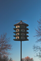Bird house with clear skies during Fall.