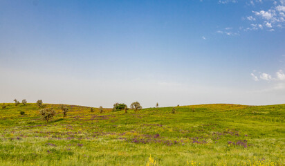 Summer landscape of the South of Russia