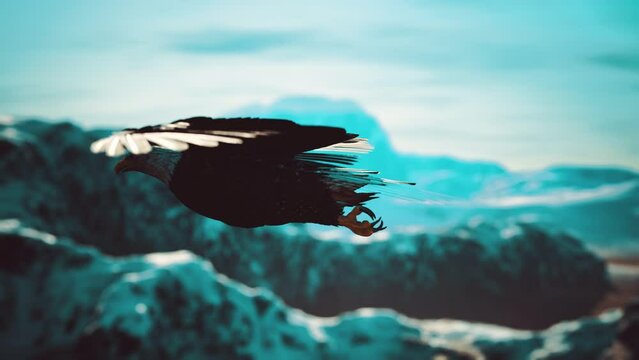slow motion american bald eagle in flight over alaskan mountains