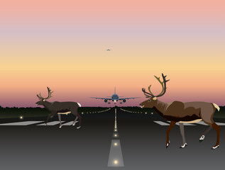 Vector Illustration- Flight Safety Hazard, animals crossing runway while aricraft approaching for landing