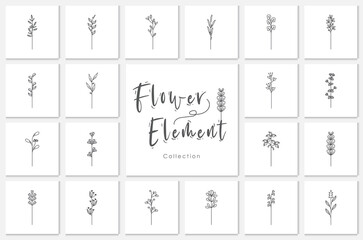 collection flower element lineart illustration.