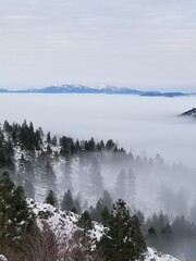 fog on the river