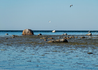 beautiful Baltic Sea coast with boulders, Saaremaa Island, Estonia