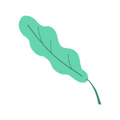 Vector hand drawn illustration the leaf of the plant, doodle