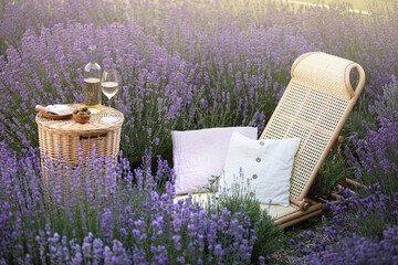 Picnic at sunset in the lavender field. White wine and cheese.