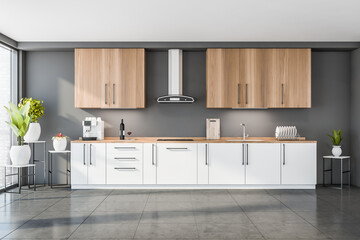 Grey interior with white wooden kitchen cabinet