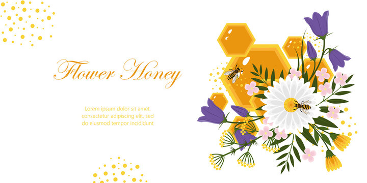 Horizontal banner with the image of flowers, bees, honeycomb. Design elements for banner, flyer. Vector image on a white background.