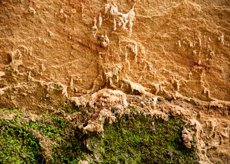 abstract sandstone wall texture, sand, moss and lichen patterns on the wall, suitable for background