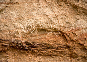 abstract sandstone wall texture, sand, moss and lichen patterns on the wall, suitable for background