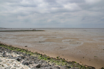 Norddeich : Das Wattenmeer bei Ebbe