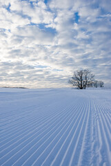 Winter landscape. A track rolled by a recreation track against the backdrop of a beautiful evening sky with clouds.
